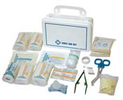 promotional products. promotional car items