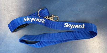 (image for) LANYARD